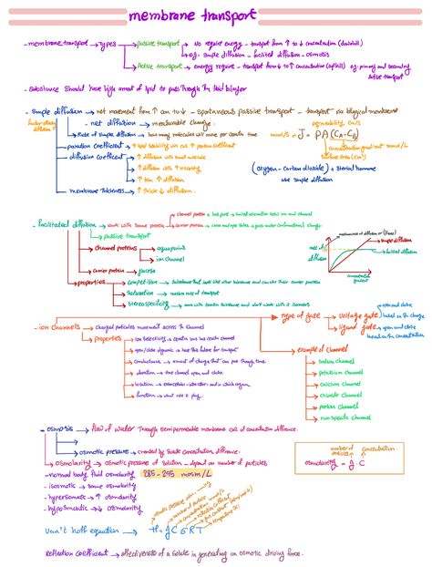 General Anatomy And Physiology, Membrane Transport Notes, Anatomy And Physiology Notes Ipad, Anatomy And Physiology Notes Study Cell, Cell Physiology Notes, College Anatomy And Physiology Notes, Human Anatomy And Physiology Notes, Dental Lifestyle, Apush Notes