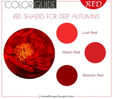 The best red color shades for Deep Autumn seasonal color women Red Color Shades, Autumn Story, Cool Summer Palette, Deep Autumn Color Palette, Colour Season, 30 Something, Soft Summer Palette, Soft Summer Color Palette, Color Seasons