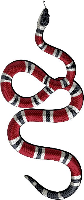 View full size Gucci Snake Sticker Clipart and download transparent clipart for free! Like it and pin it. Gucci Snake Tattoo, Gucci Stickers, Gucci Tattoo, Snake Sticker, Cards Aesthetic, Fashion Cards, Snake Red, Gucci Snake, Sticker Clipart