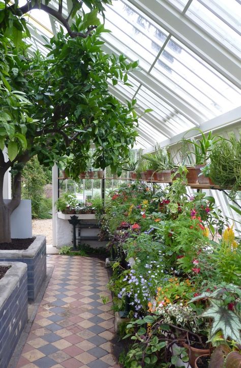 Victorian Greenhouses, Conservatory Greenhouse, Roof Lights, Lean To Greenhouse, Outdoor Greenhouse, Indoor Greenhouse, Home Greenhouse, Backyard Greenhouse, Small Greenhouse