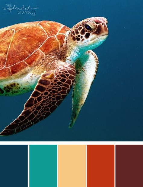 Beach Color Palettes, Pet Sematary, Beach Color, Mood Board Inspiration, Color Palette Design, Finding Nemo, Color Pallets, Bronze Color, Colour Palette