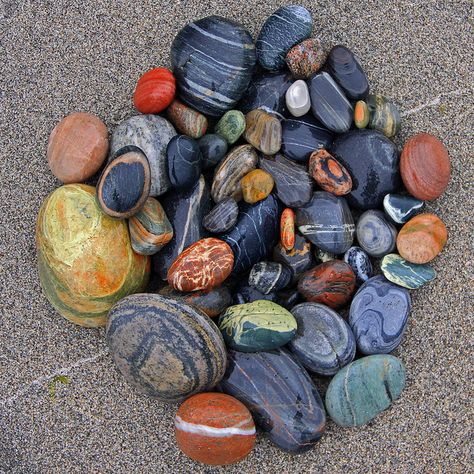 A beautiful rock collection, I love collecting rocks on the beach and streams. It's the best souvenir! Rock And Pebbles, Pretty Rocks, Pebble Stone, Cool Rocks, Sticks And Stones, Beautiful Rocks, Beach Stones, Rock Collection, Minerals And Gemstones