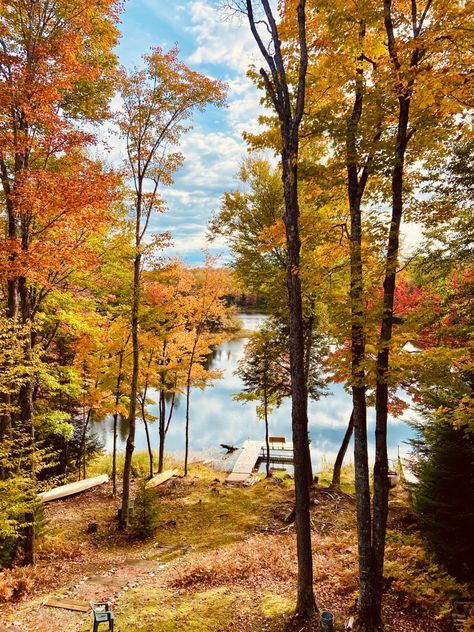 Fall in northern wisconsin 2021 Wisconsin Fall Foliage, North Woods Wisconsin, Wisconsin Aesthetic, Wisconsin Nature, Wisconsin Fall, Northern Wisconsin, Madison Wisconsin, Beautiful Autumn, Rustic Cabin