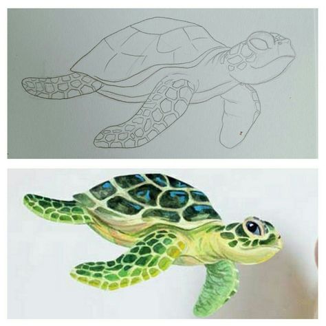 Sea Turtle Colored Pencil, Painting Of Sea Turtle, Turtle Drawing Color Pencil, Sea Turtle Painting Ideas, Painting A Turtle, Acrylic Turtle Paintings, How To Draw Sea Turtle, Painted Sea Turtle, Turtle Drawing Watercolor