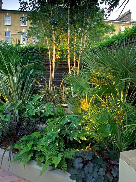 Tropical Courtyard, Modern Planting, Small Tropical Gardens, Patio Decks, Small Urban Garden, Urban Garden Design, Landscaped Garden, Tropical Garden Design, Jungle Gardens