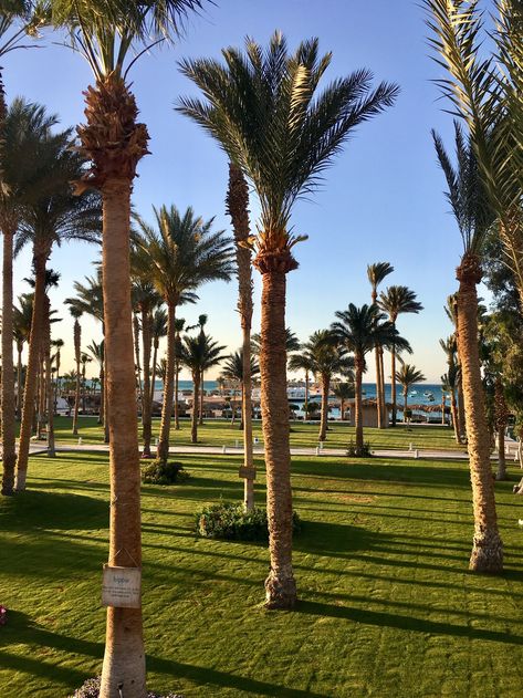 Meraki Resort, Hurghada Egypte, sunset april 2019 Hurghada Egypt Photography, Egypt Moodboard, Los Angeles California Photography, Hurghada Egypt, California Photography, Los Angeles California, Summer 2024, Luxury Homes, Egypt