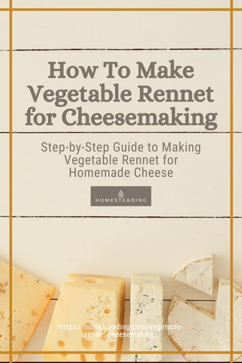 Are you always trying out new vegan cheese recipes? Then you definitely need vegetable rennet! It’s an important, irreplaceable ingredient when it comes to homemade vegan cheesemaking. Keep reading for the full recipe! 🧀 How To Make Vegetable Rennet, Diy Rennet, Rennet Homemade, Rennet Cheese, Homemade Cheeses, Cheese Recipes Homemade, Cheese Press, Dairy Free Dips, Cheese Making Recipes