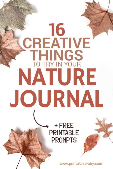 Nature journaling can be fun for kids and adults with these 16 creative prompts for drawers, painters, and writers. #naturejournal #journalideas #activitiesforkids Nature Journaling Prompts, Nature Walk Activities For Adults, Nature Journaling Inspiration, Homeschool Nature Co Op, Nature Activities For Adults, Homeschool Nature Journal, Nature Journaling Ideas, Nature Journaling For Kids, Botany For Kids