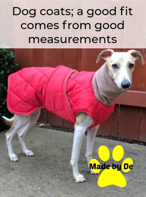 Your dog will like their coat better if it fits. Knowing how to get good measurements can help. Dog Winter Coat Pattern Free, Dog Coat Pattern Free Printable, Dog Jacket Pattern Free, Dog Rain Coat, Dog Jacket Patterns, Large Dog Coats, Dog Coat Pattern, Fit Dogs, Dog Clothes Diy