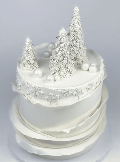 Winter Birthday Cake Ideas, Winter Birthday Cake, Winter Onederland Cake, Paris Themed Cakes, Apple Cake Pops, Birthday Cake Images, Snow Cake, Winter Wonderland Cake, Cake Designs For Girl