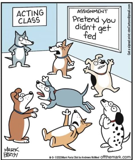 Mark Parisi, Dog Comics, Funny Cartoon Pictures, Dog Jokes, Single Humor, Cartoon Dog, Dog Quotes, Funny Animal Pictures, Funny Cartoon