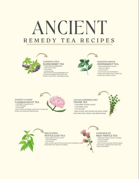 Herbal Tea Remedies, Tea Blends Recipes, Herbal Tea Benefits, Tea Remedies, Herbal Remedies Recipes, Medicinal Tea, Healing Tea, Medical Herbs, Herbal Teas Recipes