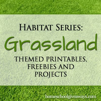 Habitat Series: Grassland Themed Printables, FREEBIES and Projects! Grassland Activities For Preschool, Grasslands Biome, 1st Grade Habitat Project, 2nd Grade Habitat Project, Habitat Lesson Plans, Habitats Grade 4, Teaching Habitats Second Grade, Savanna Biome, Biomes Activities