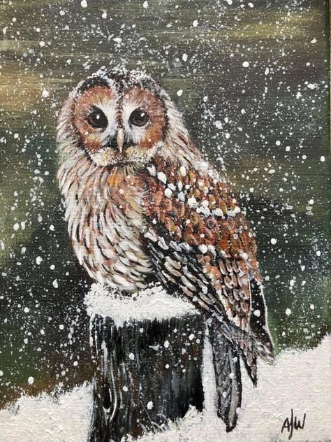 Winter Owl, Diy Watercolor Painting, Winter Painting, Bird Art Print, Baby Owls, Owl Art, Christmas Paintings, Watercolor Animals, Art Challenge