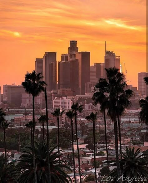 La City Tattoo, Hollywood Tattoo, Los Angeles Cityscape, Family Tattoo Ideas, Los Angeles Wallpaper, Whittier Blvd, Skyline Tattoo, Scale Painting, City Landscapes