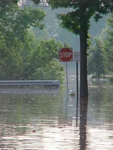 Navy Wife Life, California Drought, Summer Series, Navy Wife, Wife Life, Film Review, Survival Skills, Green Aesthetic, Natural Disasters