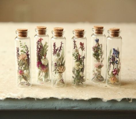 Set of 3 Mini Dried Flower Herbarium Specimen Jars-curio - Etsy Gifts With Dried Flowers, Mini Glass Bottle Crafts, Wildflower Wedding Party, Tiny Jar Crafts, Flower In Jar, Apothecary Wedding, Mini Trinkets, Specimen Jars, Dried Wildflowers