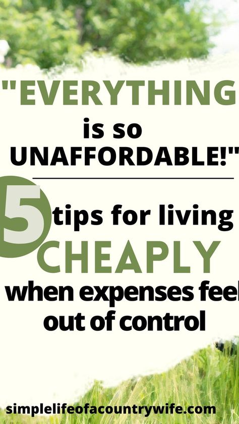 Tips for Living Cheaply Living Frugal Ideas, Single Mom Budget, Look Expensive On A Budget, Budget Hacks, Living Frugal, Beauty On A Budget, Cheap Food, How To Look Expensive, Frugal Mom