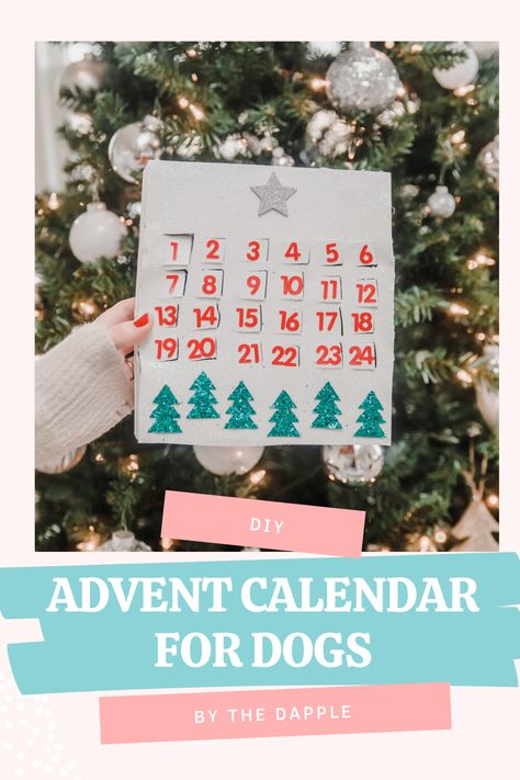 DIY Dog Advent Calendar Holiday Dog Treats, Dog Advent Calendar, Make An Advent Calendar, Advent Calendar Diy, Chocolate Advent Calendar, Happy December, Holiday Dog, Advent Calenders, Dog Games