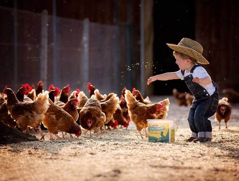 feeding chicken, gaining happiness! Kind Photo, Farm Kids, Country Kids, Chickens And Roosters, Foto Baby, Country Farm, Country Life, Farm Life, Children Photography