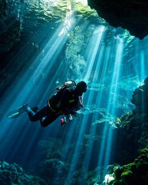 Scuba Diving Pictures, Affordable Honeymoon, Scuba Diving Photography, Underwater Pictures, Sea Diving, Aesthetic Ocean, Deep Sea Diving, Underwater City, Cave Diving