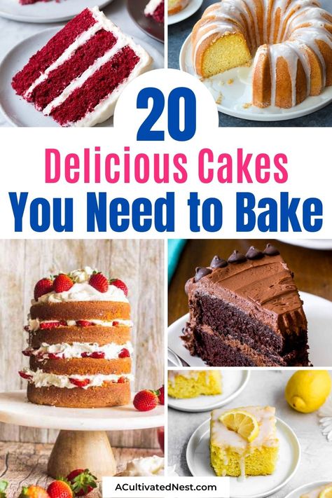 20 Delicious Cake Recipes You Need to Bake- If you need a cake recipe for a birthday, anniversary, or just want something sweet and satisfying, these delicious cake recipes are sure to hit the spot! | #desserts #cakeRecipes #baking #dessertRecipes #ACultivatedNest Best Cakes To Make, Easy Delicious Cake Recipes, Unique Cake Recipes, Birthday Cake For Adults, Cookie Pies, Easy Delicious Cakes, Cake Flavours, Squash Pie, Easy Cakes To Make