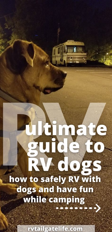 Rv Living With Dogs, Camping With Dogs Hacks, Full Time Rv Living With Dogs, Rv Camping With Dogs, Rv Camping With Cats, Dogs In Camper, Dogs Hacks, Rv'ing With Dogs, Rv Dog