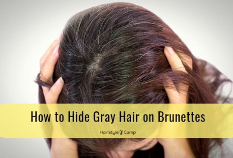 How to Hide Gray Hair on Brunettes How To Hide Gray Hair Brunette, Hair Color Ideas Hide Gray, How To Hide Grey Hair, Brunette To Hide Grey, Hide Gray Hair Brunettes, Lowlights To Cover Gray Hair Brunettes, Hair Color Hide Grey Hair, Hide Grey Hair Dark Brown, How To Hide Grey Hair Dark Brown