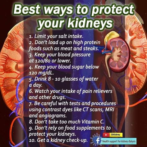 Kidney Cleanse Natural, Foods Good For Kidneys, Foods To Avoid With Kidney Problems, Healthy Kidney Diet, Improving Kidney Function, Food For Kidney Health, Kidney Healthy Foods, Chronic Kidney Disorder, Kidney Diet Recipes