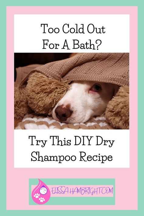 Too cold, too stressful, or no time for a bath? Make this easy DIY dry shampoo for your dog. Perfect for times when you can't bathe but need to clean and deodorize your dogs coat. Repin and grab the recipe. Dry Dog Shampoo Diy, Diy Waterless Dog Shampoo, Diy Dry Shampoo For Dogs, Dog Dry Shampoo, Dry Shampoo For Dogs, Dog Baths, Dog Deodorizer, Dog Shampoo Recipe, Diy Dog Shampoo