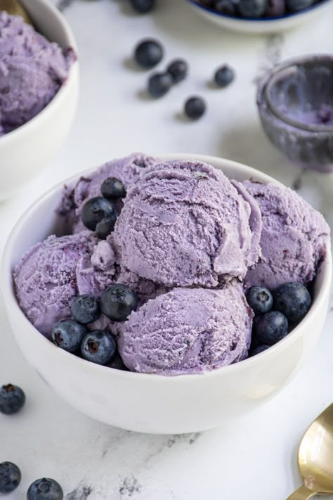 Blueberry Sherbet, Basil Gelato, Blueberry Gelato, Lemon Gelato, Gameday Party, Blueberry Sorbet, Gelato Recipe, Blueberry Ice Cream, Gelato Ice Cream