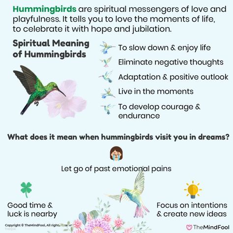 Hummingbird Meaning Quotes, Humming Bird Symbolism Meaning, Advice From A Hummingbird, Seeing A Hummingbird Meaning, Hummingbird Meaning Spiritual, Birds Spiritual Meaning, Hummingbird Spiritual Meaning, Birds Meaning, Hummingbird Totem