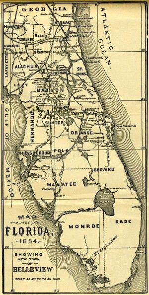 Florida 1884 Swamp Cabbage, Wild Florida, Florida Cracker, Florida History, Map Tattoos, Cracker Jack, Bodies Of Water, Marion County, Aerial Photos