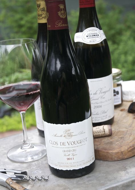 What You Should Know About Red Wine from Burgundy French Wines, Unique Wine Glasses, Wine Ideas, Wine Experience, Burgundy France, Pinot Noir Wine, Red Grape, Custom Wine Glasses, Wine Education