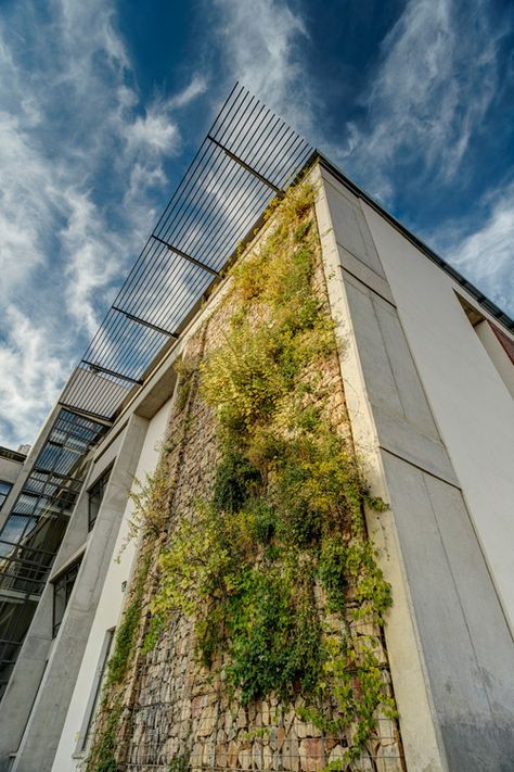 wet botanical wall Red Brick Paving, Brick Paving, Gabion Wall, Outdoor Aesthetic, Passive Design, Plant Science, Ancient Buildings, Natural Ventilation, Building Techniques