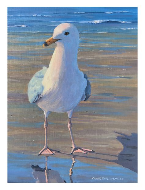 Shore Bird Art, Seascape Artists, Bird Painting Acrylic, Beach Art Painting, Coastal Birds, Florida Art, Animal Portraits, Animal Projects, Beach Painting