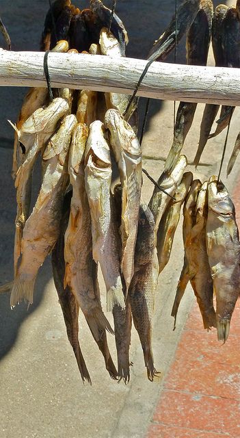 South Africa Food, Dried Fish, Africa Food, South African Recipes, Seaside Village, Out Of Africa, African Food, Southern Africa, The Atlantic