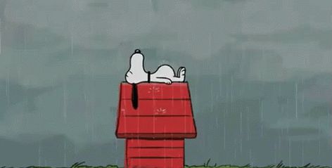 Snoopy Having A Rainy Day GIF - Weather Rainyday Rain - Discover & Share GIFs Gifs Snoopy, Rain Gif, Snoopy Dog, Sally Brown, The Peanuts, Charlie Brown And Snoopy, Peanuts Gang, Bugs Bunny, Peanuts Snoopy