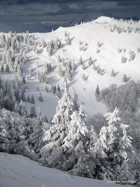 'Donovaly, Slovakia' by princess_revolution, Low Tatras, mid-west Slovakia Slovakia Skiing, Winter Family Vacations, Luxe Lodge, Ski Sport, Best Ski Resorts, Holiday Hotel, Heart Of Europe, Luxury Holiday, Dream Holiday