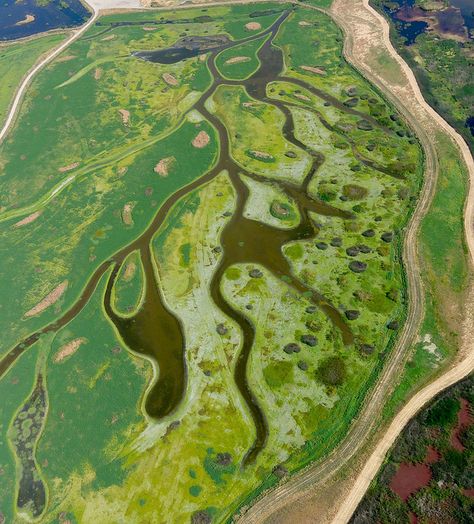 California Central Valley, Aerial Landscape, Drone Flying, Aerial Photography Drone, Central Valley, Take Better Photos, Cool Landscapes, Photography Skills, Birds Eye View