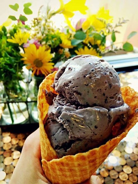 Weird Ice Cream Flavors, Unique Ice Cream Flavors, Blueberry Goat Cheese, Unique Ice Cream, Road Trip Across America, Artisan Ice Cream, Ice Cream Companies, Blueberry Ice Cream, Salted Caramel Fudge