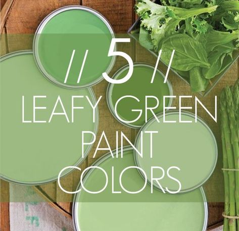 5 LEAFY GREEN PAINT COLORS XOimagine Green Accent Wall, Green Accent Walls, Green Paint Colors, Furniture Placement, Lucky Clover, Leafy Greens, French Quarter, Green Accents, Green Paint