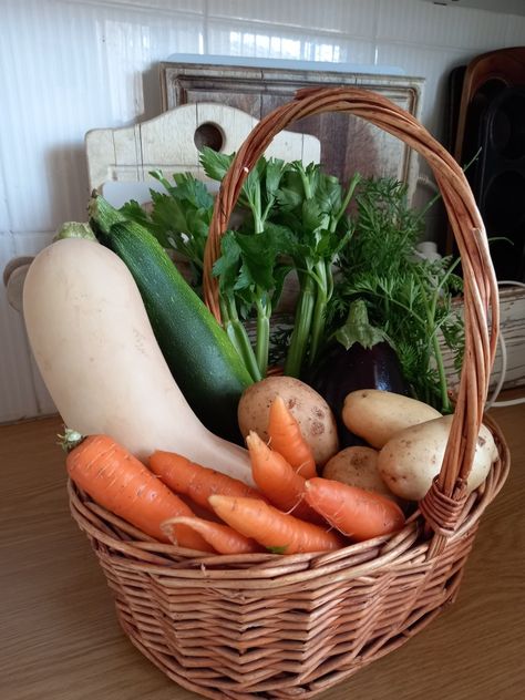 Veg Aesthetic Food, Dream Garden Vegetable, Veggie Farm, Veggie Basket, Farm Vegetables, Indoor Vegetables, Garden Organization, Harvest Basket, Home Grown Vegetables