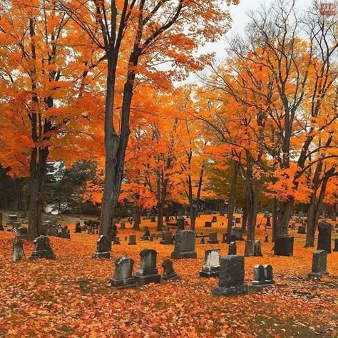 October Country, Fall Cottage, Old Cemeteries, Autumn Magic, Autumn Days, Season Of The Witch, Autumn Scenery, Cozy Autumn, Bare Bears