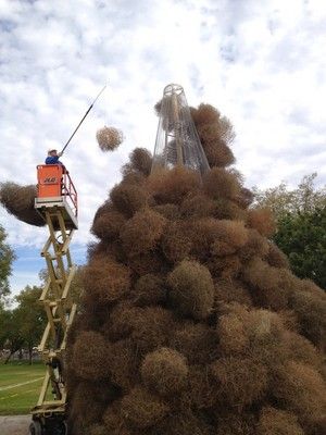 Tumbleweed Decor, Arizona Christmas, Chandler Arizona, Chandler Az, Tree Lighting, Diy Style, The Process, Diy And Crafts, To Look