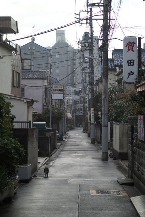 Alley Way, Japan Street, Power Lines, Japan Aesthetic, Aesthetic Japan, Japanese Aesthetic, Street Photo, City Aesthetic, Pretty Places