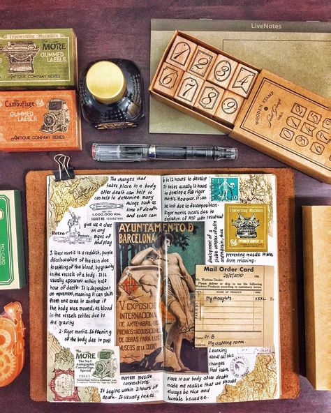 Journal Scrapbooking | Dr.B 🇲🇾 (@scribbling.muse) • Photos et vidéos Instagram Latex Glove, Palm Prints, Sweaty Palms, Latex Gloves, Bullet Journal Art, Journal Art, Study Notes, Art Journal, Muse