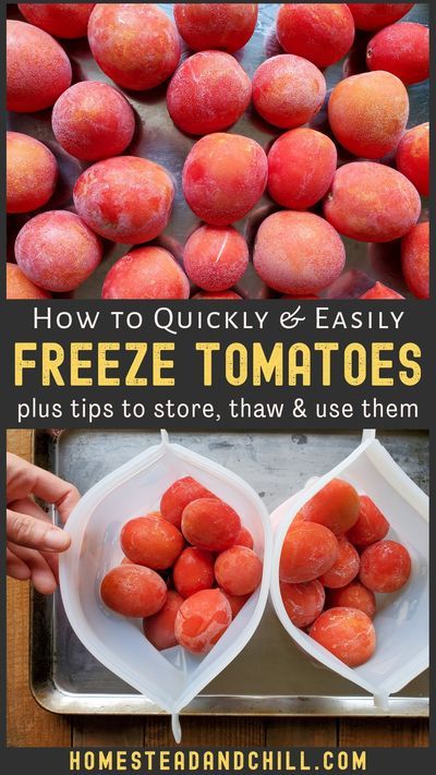 Freezing whole fresh tomatoes is a quick and easy way to preserve them. When you’re too busy (or too hot!) to spend hours over the stove making sauce or canning tomatoes, just pop that bumper crop in the freezer instead! Come learn tips on how to make, store, thaw, and use frozen tomatoes. #tomatoes #preservingfood #garden #homestead How To Freeze Whole Fresh Tomatoes, How To Freeze Tomatoes For Canning Later, Freezing Fresh Whole Tomatoes, Freezing Garden Tomatoes, Freeze Tomatoes To Can Later, Freezing Tomatoes Without Blanching, Can I Freeze Tomatoes, How To Put Up Tomatoes In Freezer, How To Freeze Whole Tomatoes