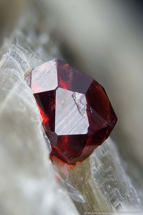 Designbyearth's latest mineral photo news Colours Aesthetic, Almandine Garnet, Quartz Geode, Beautiful Rocks, Rocks And Gems, Gem Stones, Natural Minerals, Gems And Minerals, Gems Jewelry