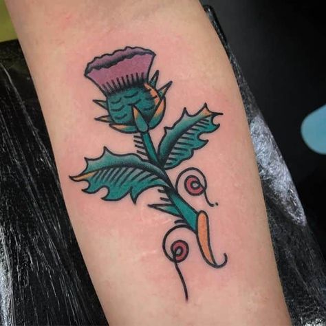 American Traditional Thistle Tattoo, Thistle Tattoo, Tattoo Old School, Milk Thistle, School Tattoo, American Traditional, Old School Tattoo, Leaf Tattoos, Maple Leaf Tattoo